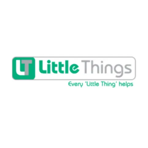 Little Things 13 Amp Fuses