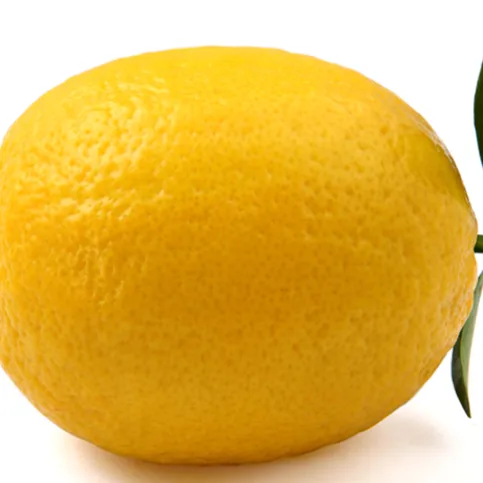 LEMON SINGLE 1